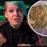 ਹਰੀ ਖਾਦ ਦੀ ਚੋਣ ਕਿਵੇਂ ਕਰੀਏ ਅਤੇ ਵਾਢੀ ਨਾਲ ਆਪਣੇ ਗੁਆਂਢੀਆਂ ਨੂੰ ਹੈਰਾਨ ਕਰੋ: ਮਾਲੀ ਨੇ ਪ੍ਰਭਾਵਸ਼ਾਲੀ ਸਲਾਹ ਦਿੱਤੀ ਹਰੀ ਖਾਦ ਦੀ ਚੋਣ ਕਿਵੇਂ ਕਰੀਏ ਅਤੇ ਵਾਢੀ ਨਾਲ ਆਪਣੇ