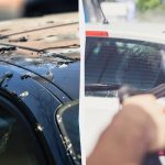 ਪੰਛੀ ਹੁਣ ਕਾਰਾਂ ‘ਤੇ ਬਕਵਾਸ ਨਹੀਂ ਕਰਨਗੇ: ਇੱਥੇ ਤੁਹਾਨੂੰ ਕੀ